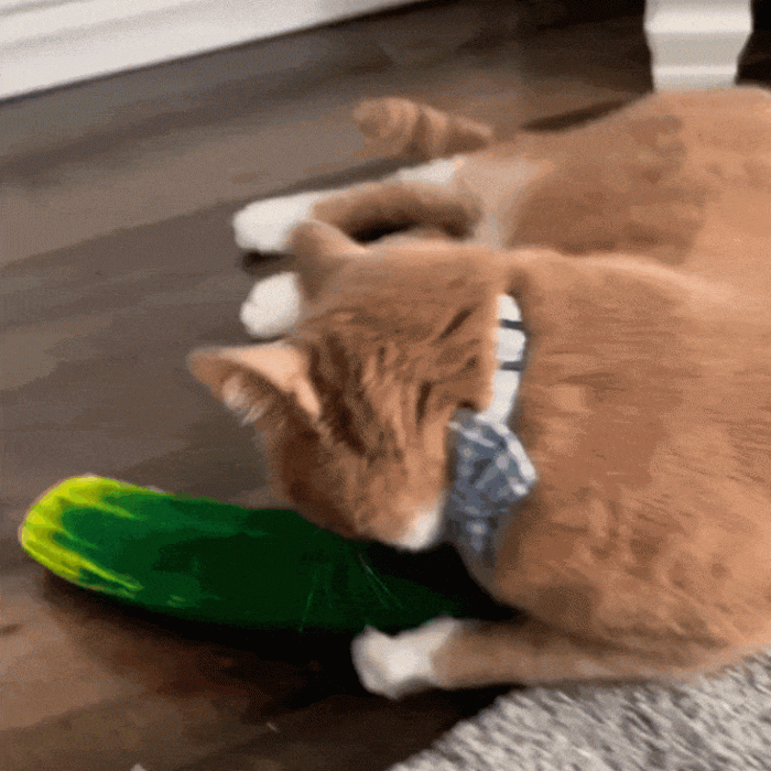 2073aa629e16d108ddb27a7fdf76cfc4.gif