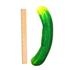 5eb79dbbeba0abc7ecff988931ad794c.png