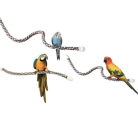 bc2f4add123e1d9ac6ccbe92eccc1fb3.png